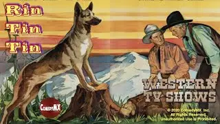 Return of Rin Tin Tin | full movie