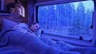 Heavy Rain Outside the Window Creates Deep Relaxation and Peaceful Sleep Ambience Tonight