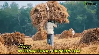 International Farmers&rsquo; Day 2025 | Saluting Indian Farmers | Farmojo