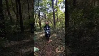 yamaha rayzr jungletrail GOAmollem🌿#shorts #goa #viral #viralvideo #yamaha #yamaharayzr125 $offroad