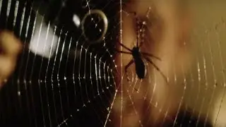 When You Hate Spiders Alien parody 😂