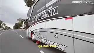 Cinematic Bus Stj Iguazu