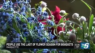 Chatham farm shares how to use flowers before the frost hits