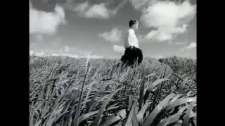 Black - Wonderful life - 1987
