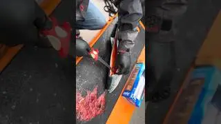 Sockeye Salmon 🔪🍽️ #fishing #salmon #fishingtechniques #fish #pacificsalmon