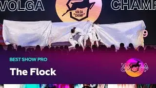 VOLGA CHAMP 2019 XI | BEST SHOW PRO | THE FLOCK