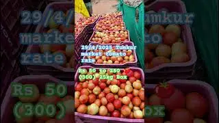 #tumkur #market #tomato @YouTube #viralshorts