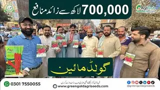 Carrot Gold Mine | 7 Lakh Per Acre Profit! Green Gold Agri Seeds Ki Top Variety | Review | Success 