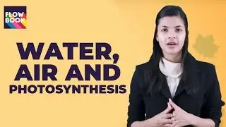 Water, Air and Photosynthesis | Class 10th Biology | Educational Videos 2020 | Flowbook