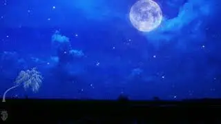 jisha jindagi dhuaan rahayaha 💓 love status 💞