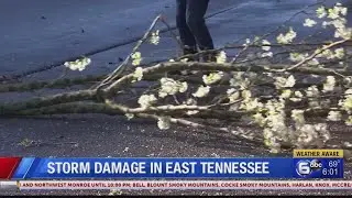 Storm Damage in East Tennessee