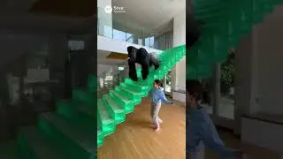 jello