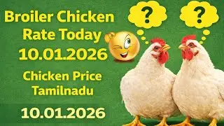 தமிழ்நாடு  இன்று பிராய்லர் கோழி விலை | Broiler Chicken Rate Today | 10.1.2026 | Chicken Price Tamil
