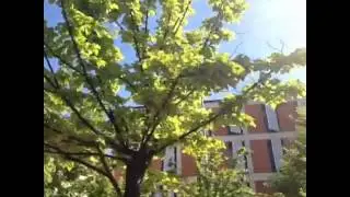 Merit School Campus Nord