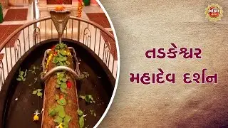 તડકેશ્વર મહાદેવ દર્શન ।  Bhakti Sandesh