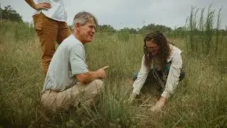 Longleaf Landowner Stories: Pasture Conversion