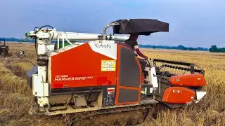 Kubota King Pro Working Odisha | New Harvester Working 