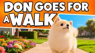 Don Goes for a Walk | Cute Pomeranian Story 🐶🌳