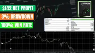 Why Smart Traders Are Switching to DS Gold Robot MT4 in 2025
