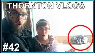 Thornton Vlogs #42 Beach Huts and Bin Bags October 2023