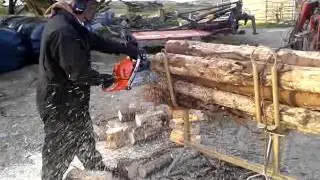 Log horse in action