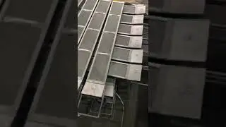 #titanium basket
