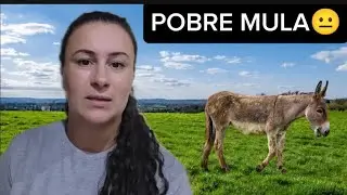 NAMORADO DE MARI ANJOS PROVOCA: 