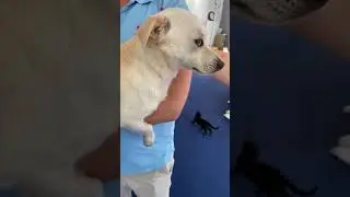 Kilka ujęć z wizyty w lecznicy 