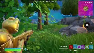 Fortnite_20250912 managed crown 18 without bounce hammer