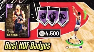 this 4.5k mt amethyst has the BEST HOF BADGES in nba 2k19 myteam...