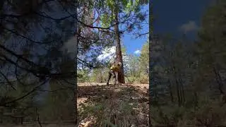 Aidan - Arizona clean up - fire mitigation 