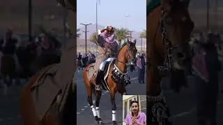Legend Arabian Horse Show | horse status 🥰 | Dubai horse show