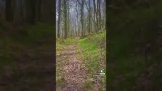 Hiking clips #capcut #hiking #trial