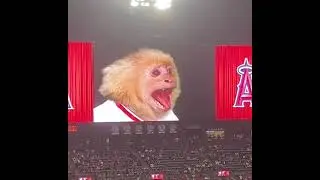Wizard of Oz Angels Rally Monkey Clip