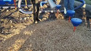 Bark Blowing Playground Chips