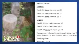 Dozens of trees cut down without a contract after TWRA lets in loggers