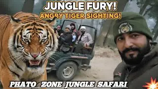Phato Zone Tiger Sighting ! Best Zone For Tiger Sighting #wildlife #nature 