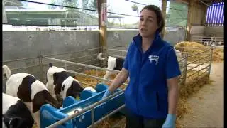 Farmers protest at low milk prices