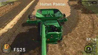 Harvesting Canola with our New Combine & Purchasing a New Silo Hutan Pantai EP.14 #FS25