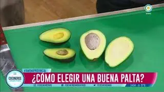 Todo sobre la palta