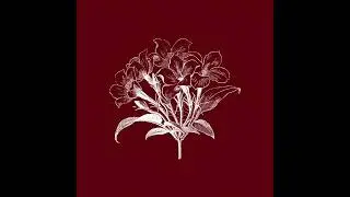 [SOLD] Jolagreen23 & La Mano 1.9 Type Beat 