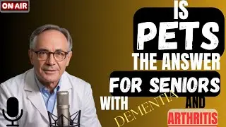 4 Gentle pets for seniors with Arthritis, Demetria or limited mobility
