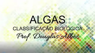 Algas (Classificação)