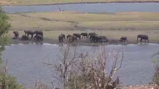 Zambia...Ever Elevating commentary