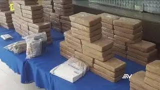 La policía decomisó 7 toneladas de droga que tenía como destino Bélgica