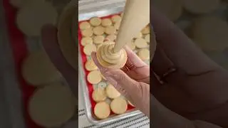Cookie Butter Macarons #macarons #frenchmacarons #process #filling #matching  #fyp #followformore