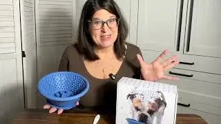 Dog Lick Bowl Review &mdash; Slow Feeder Licking Mat for Anxiety & Calm