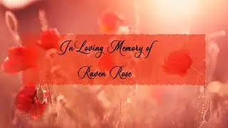 In Loving Memory of Raven Rose