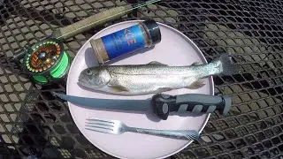 Ace's First Cast Seasoning Review (Trout Catch N' Cook)