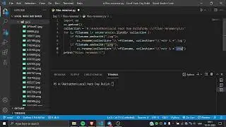Photo Renamer Using Python